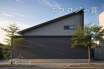 【LMC2025 エコロジー賞受賞】 Goolis