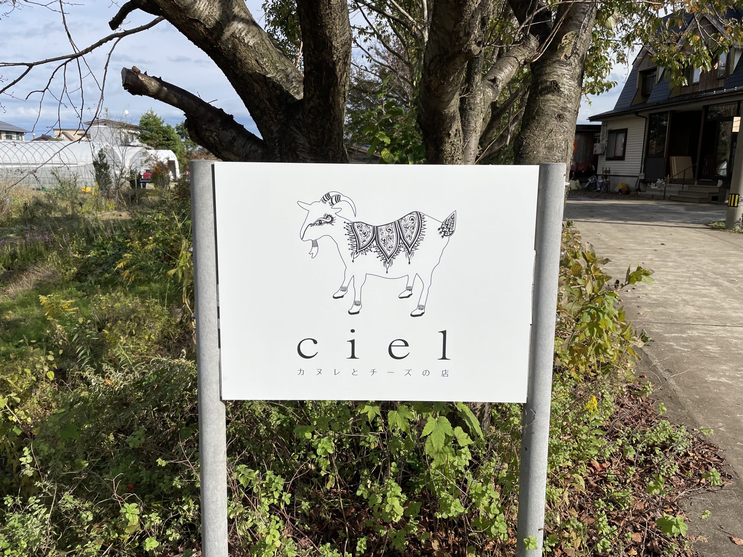 カヌレとチーズの店ciel様 オープン!