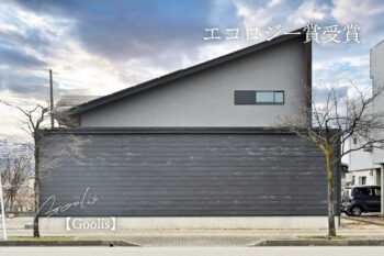 【LMC2025 エコロジー賞受賞】 Goolis